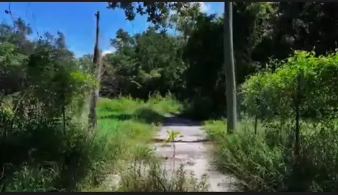 13709 S Apopka Vineland Roads Orlando FL 32821