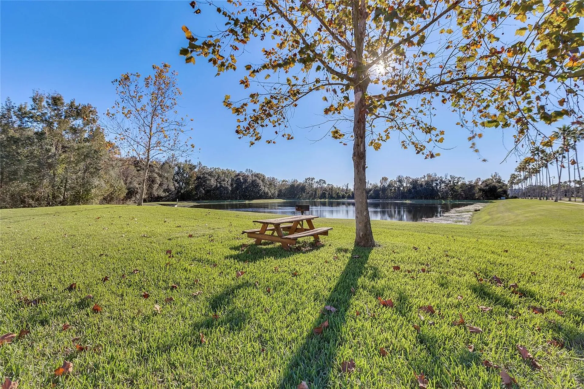 770 Siena Palm Drive Celebration FL 34747