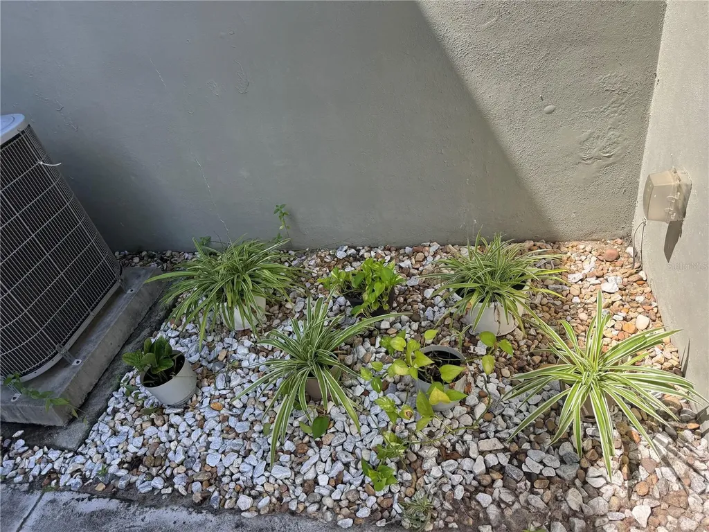 11543 Fountainhead Drive Tampa FL 33626