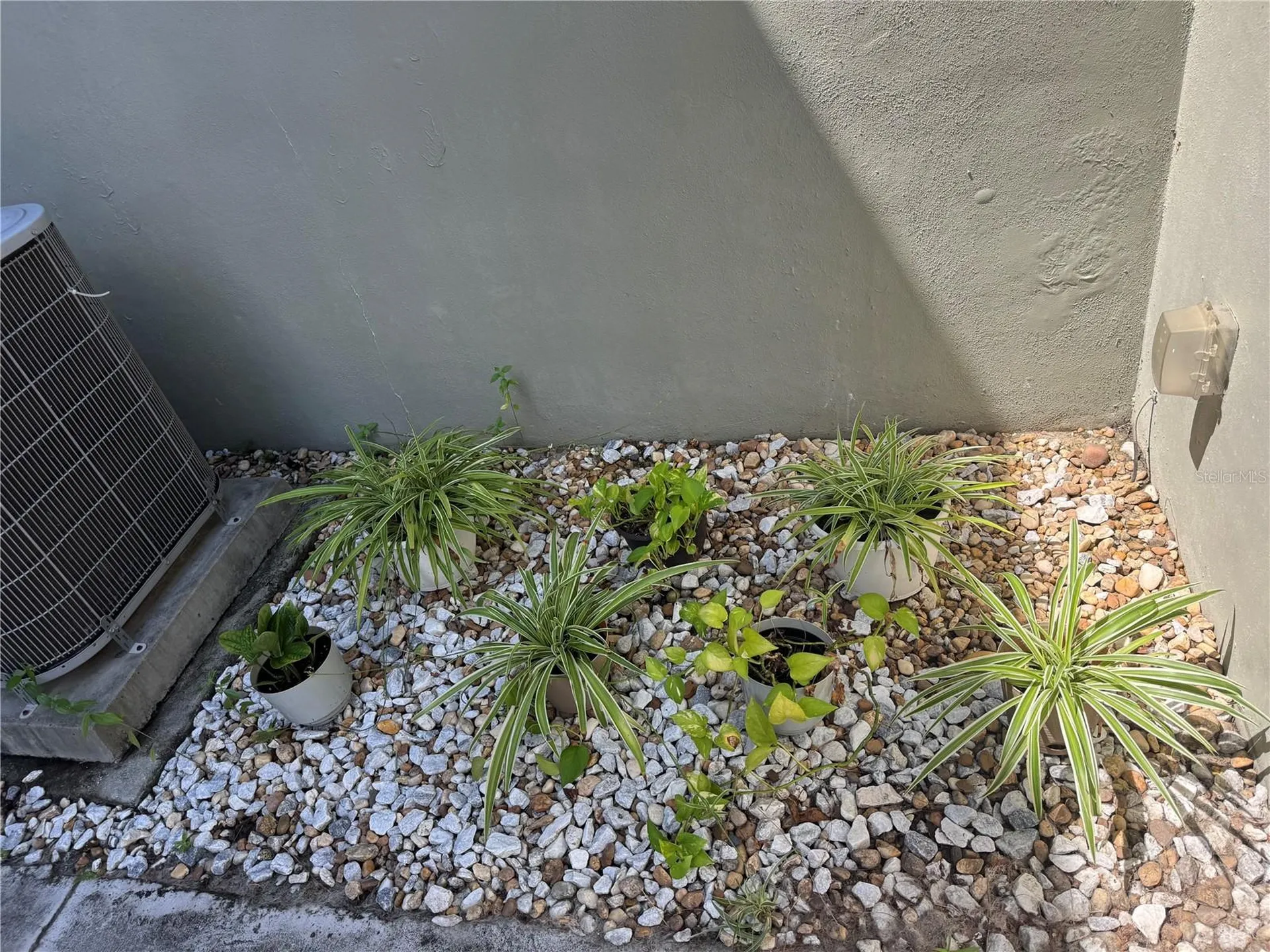11543 Fountainhead Drive Tampa FL 33626