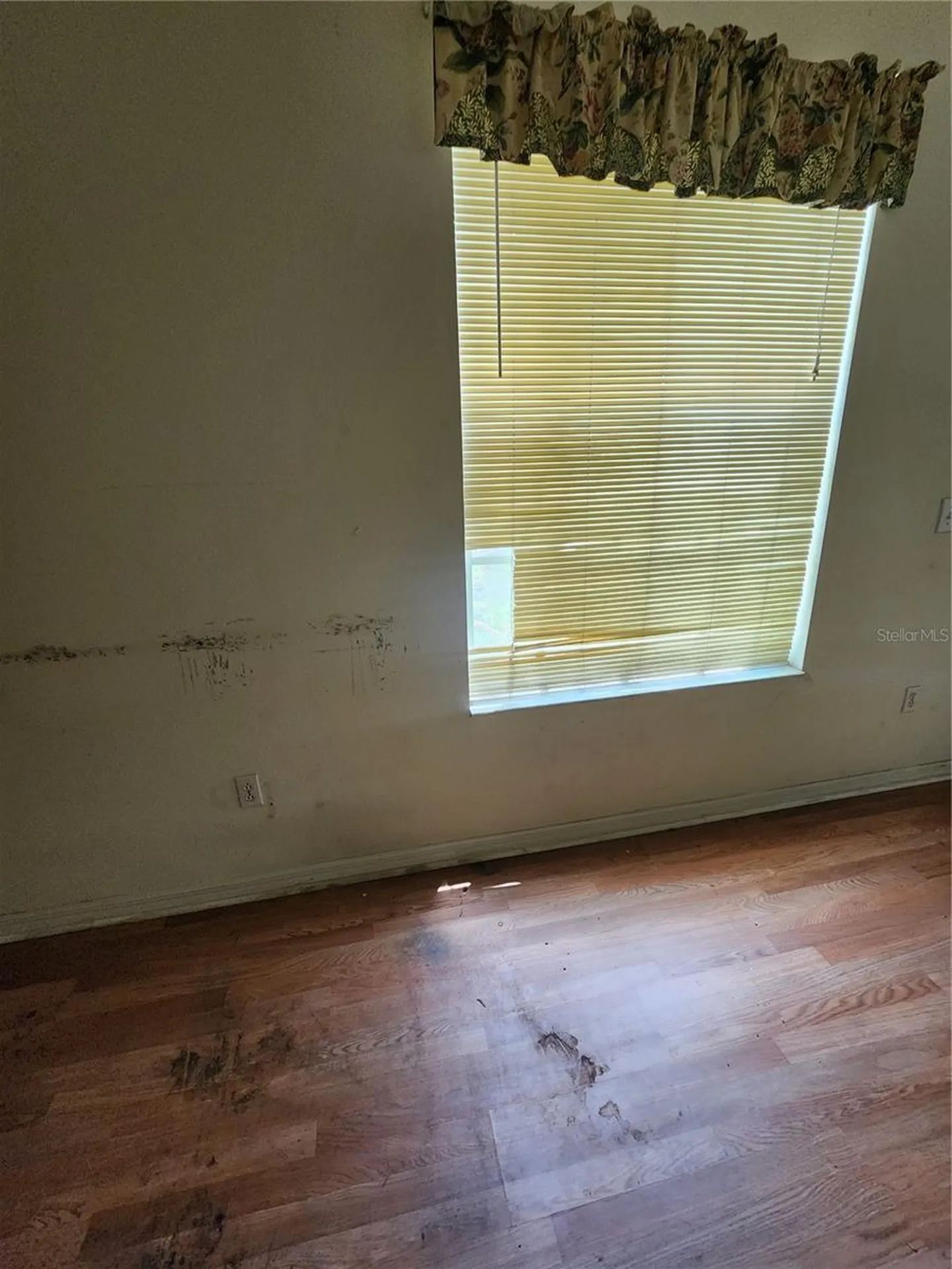 2102 Rottwell Court Brandon FL 33510