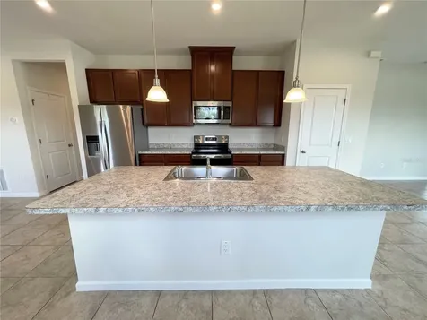 10668 Old Sycamore Loop Land O Lakes FL 34638