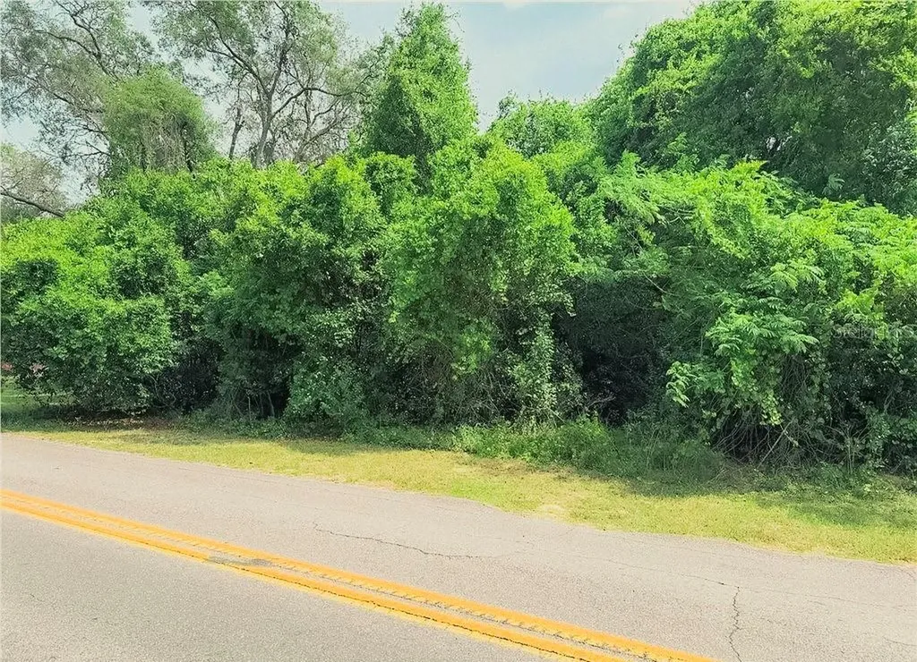 3638 E Delight Street Hernando FL 34442