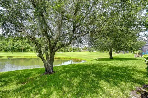 10560 Plantation Bay Drive Tampa FL 33647