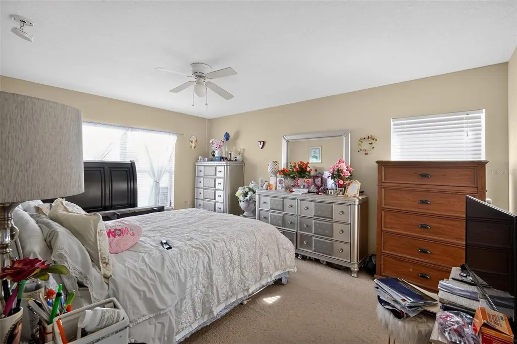 31417 Triborough Drive Wesley Chapel FL 33545