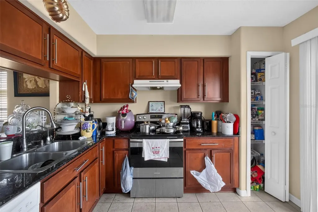 31417 Triborough Drive Wesley Chapel FL 33545