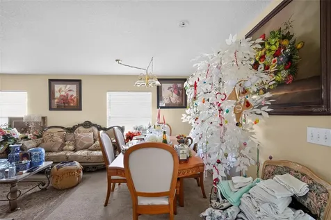 31417 Triborough Drive Wesley Chapel FL 33545