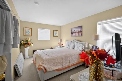 31417 Triborough Drive Wesley Chapel FL 33545