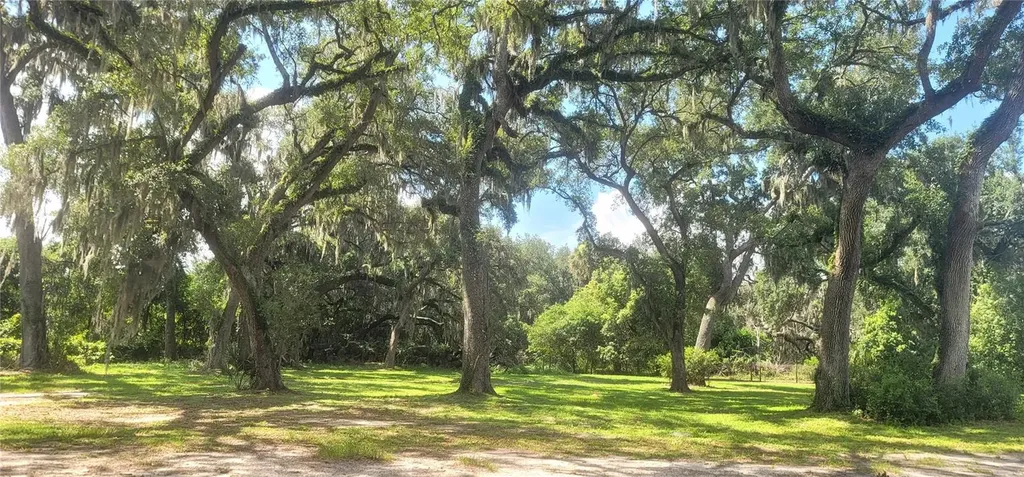 3534 Milton West Road Dover FL 33527