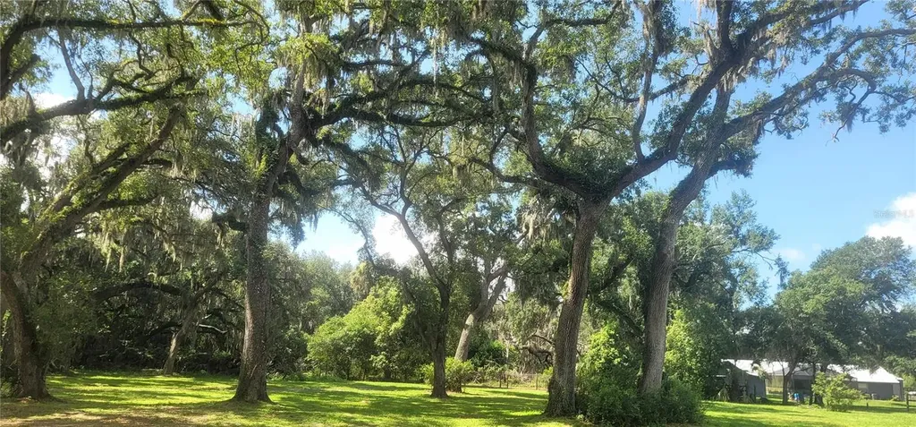 3534 Milton West Road Dover FL 33527