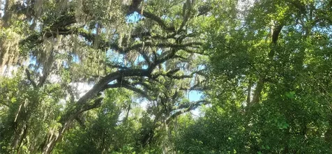 3534 Milton West Road Dover FL 33527
