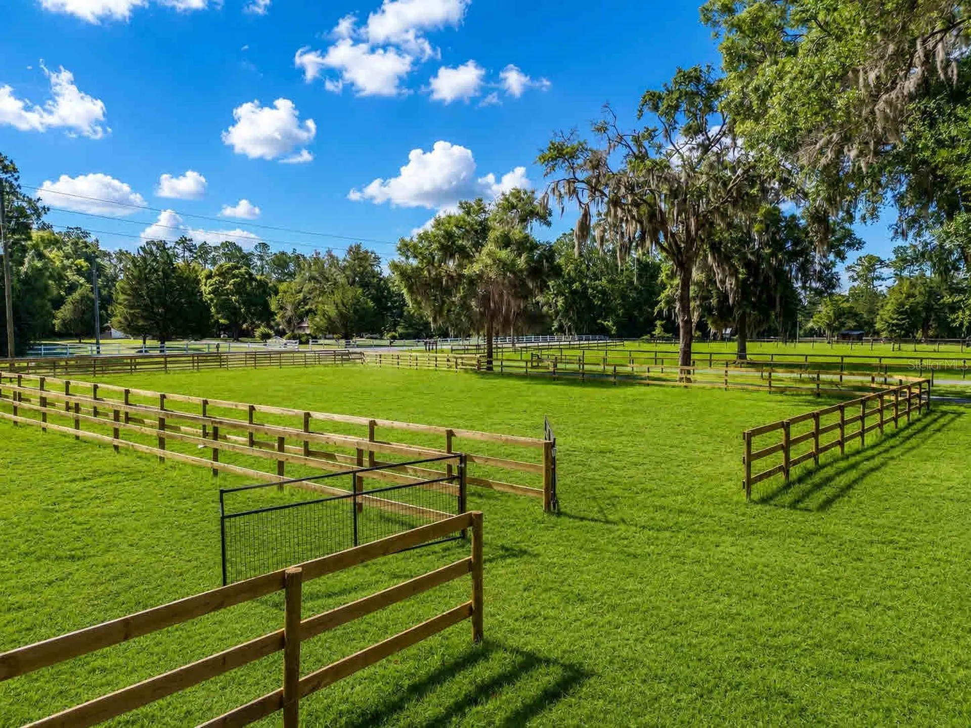 196 NW 100th Avenue Ocala FL 34482