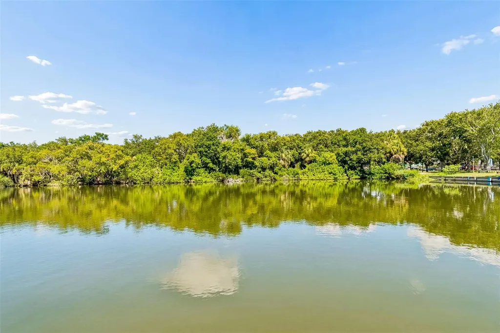 725 Del Oro Drive Safety Harbor FL 34695