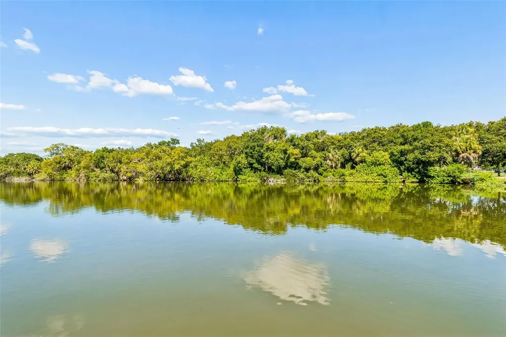 725 Del Oro Drive Safety Harbor FL 34695