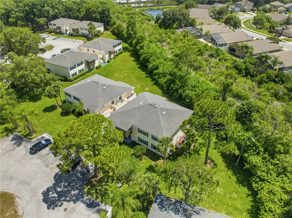123 Loblolly Court Oldsmar FL 34677