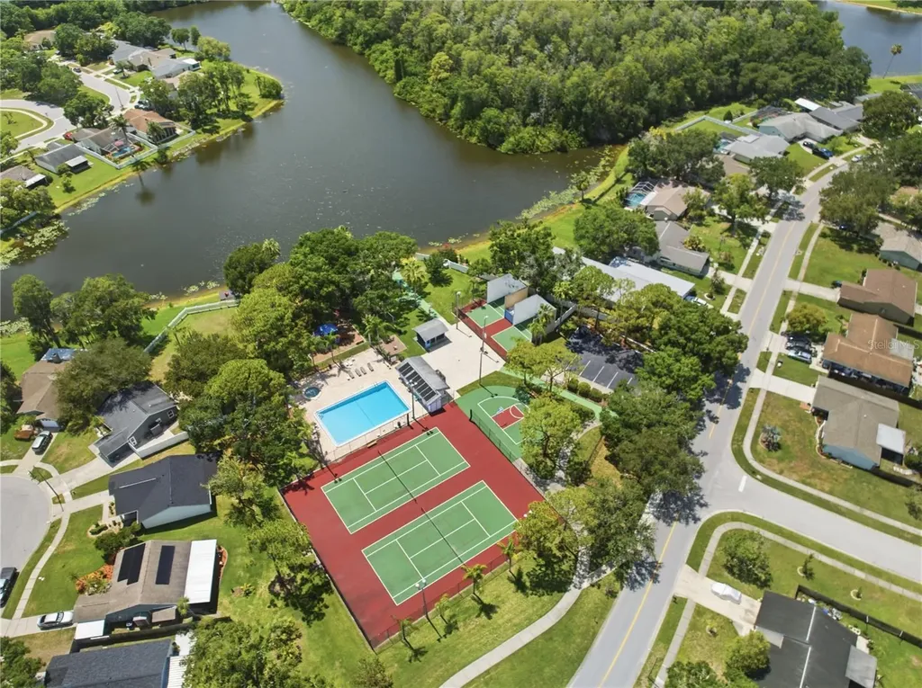 123 Loblolly Court Oldsmar FL 34677