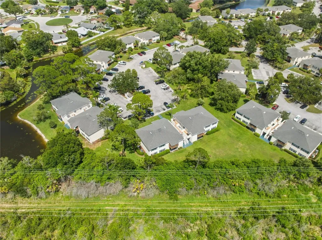 123 Loblolly Court Oldsmar FL 34677