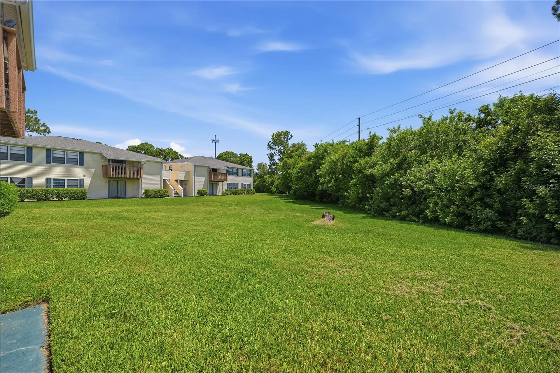 123 Loblolly Court Oldsmar FL 34677