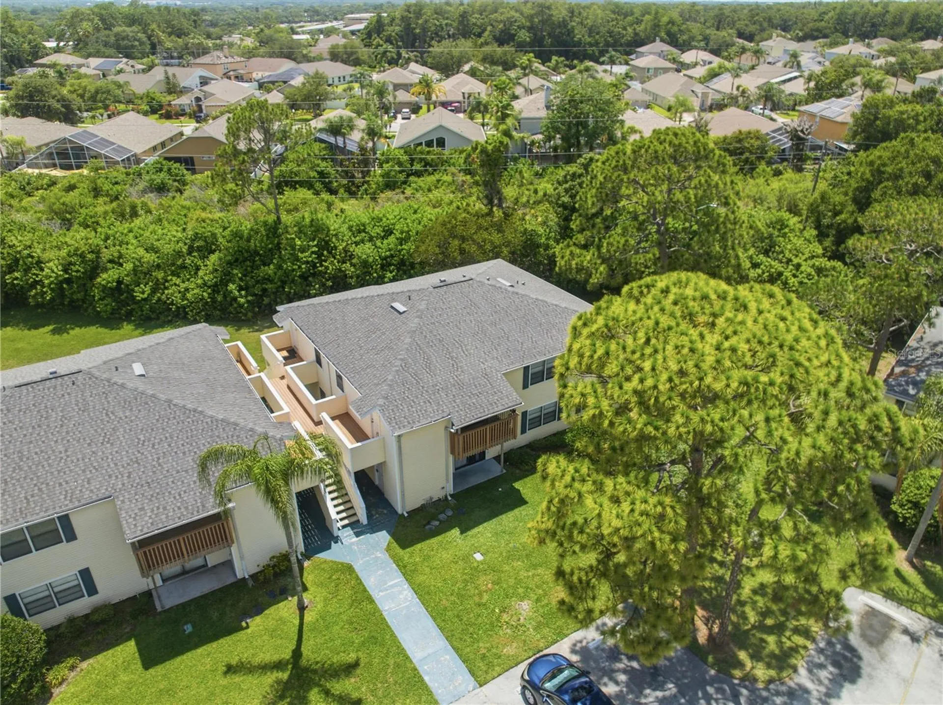 123 Loblolly Court Oldsmar FL 34677