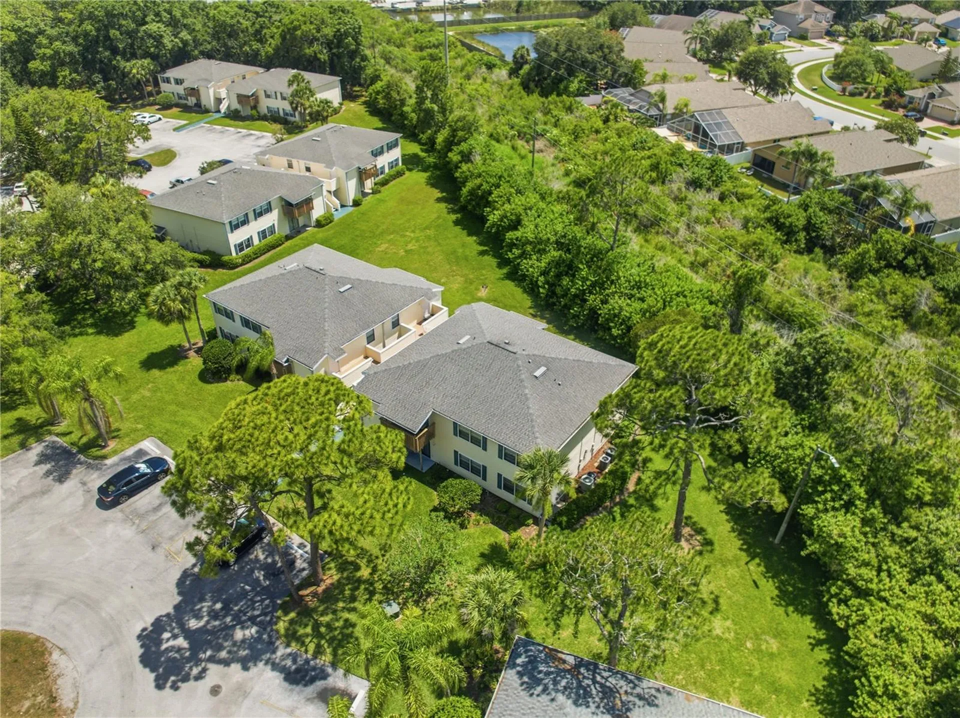 123 Loblolly Court Oldsmar FL 34677