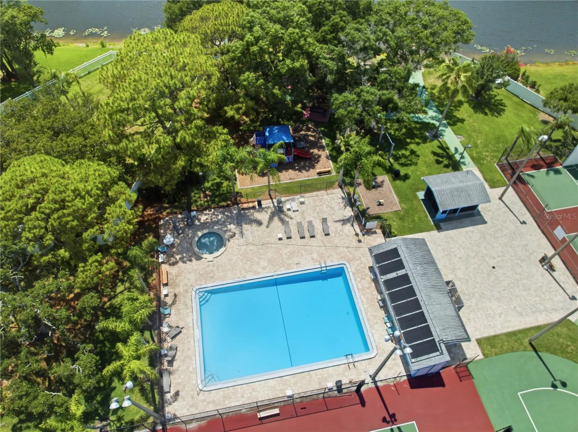 123 Loblolly Court Oldsmar FL 34677