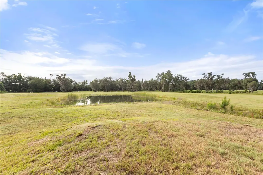 32839 Webbs Way Sorrento FL 32776