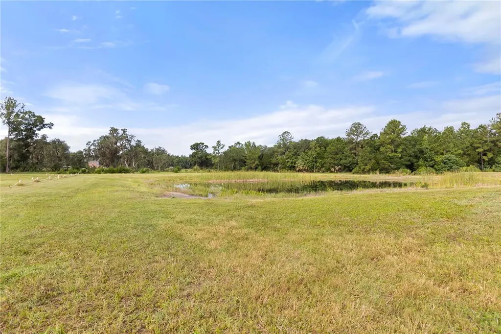 32839 Webbs Way Sorrento FL 32776