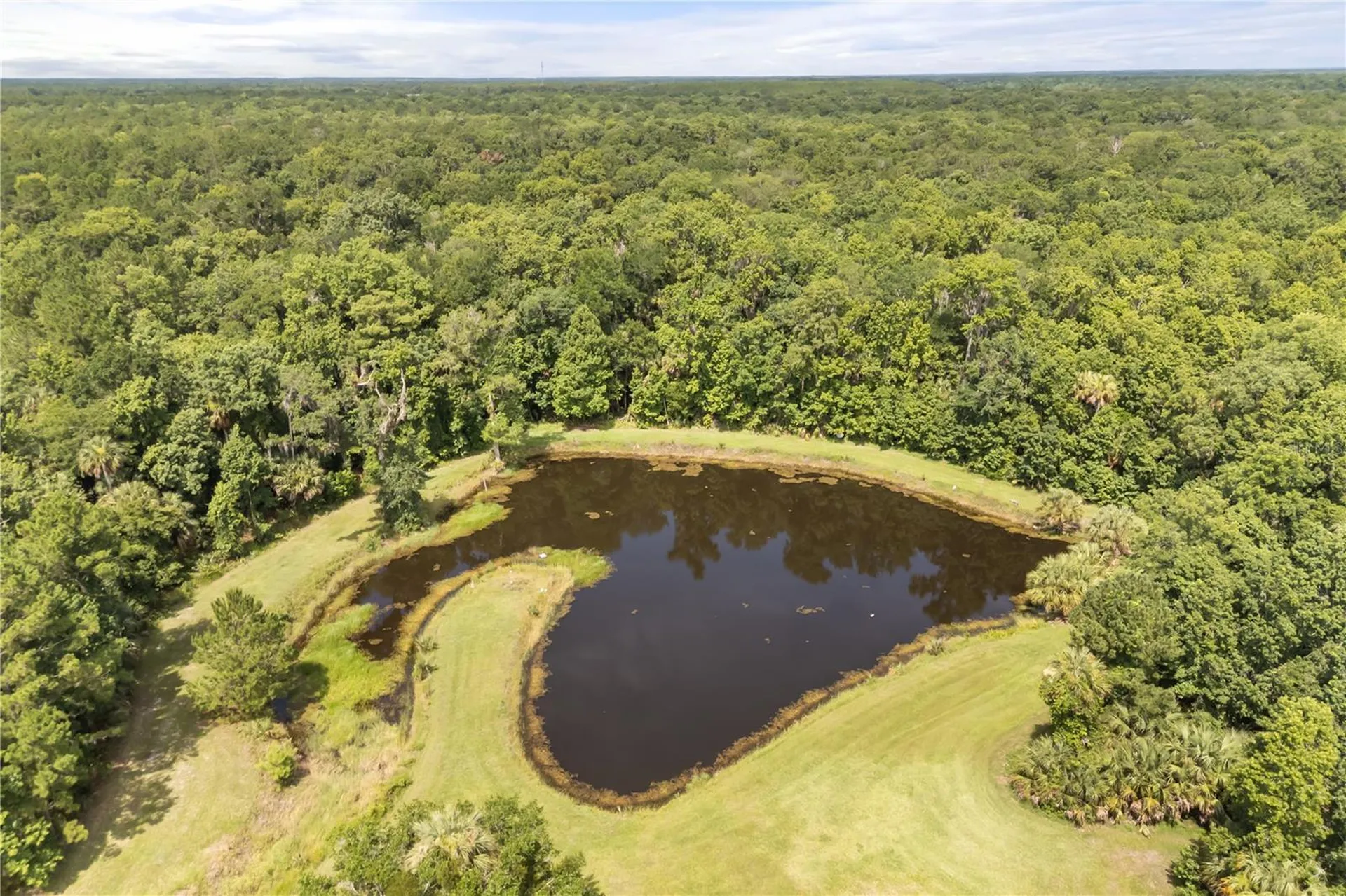 32839 Webbs Way Sorrento FL 32776