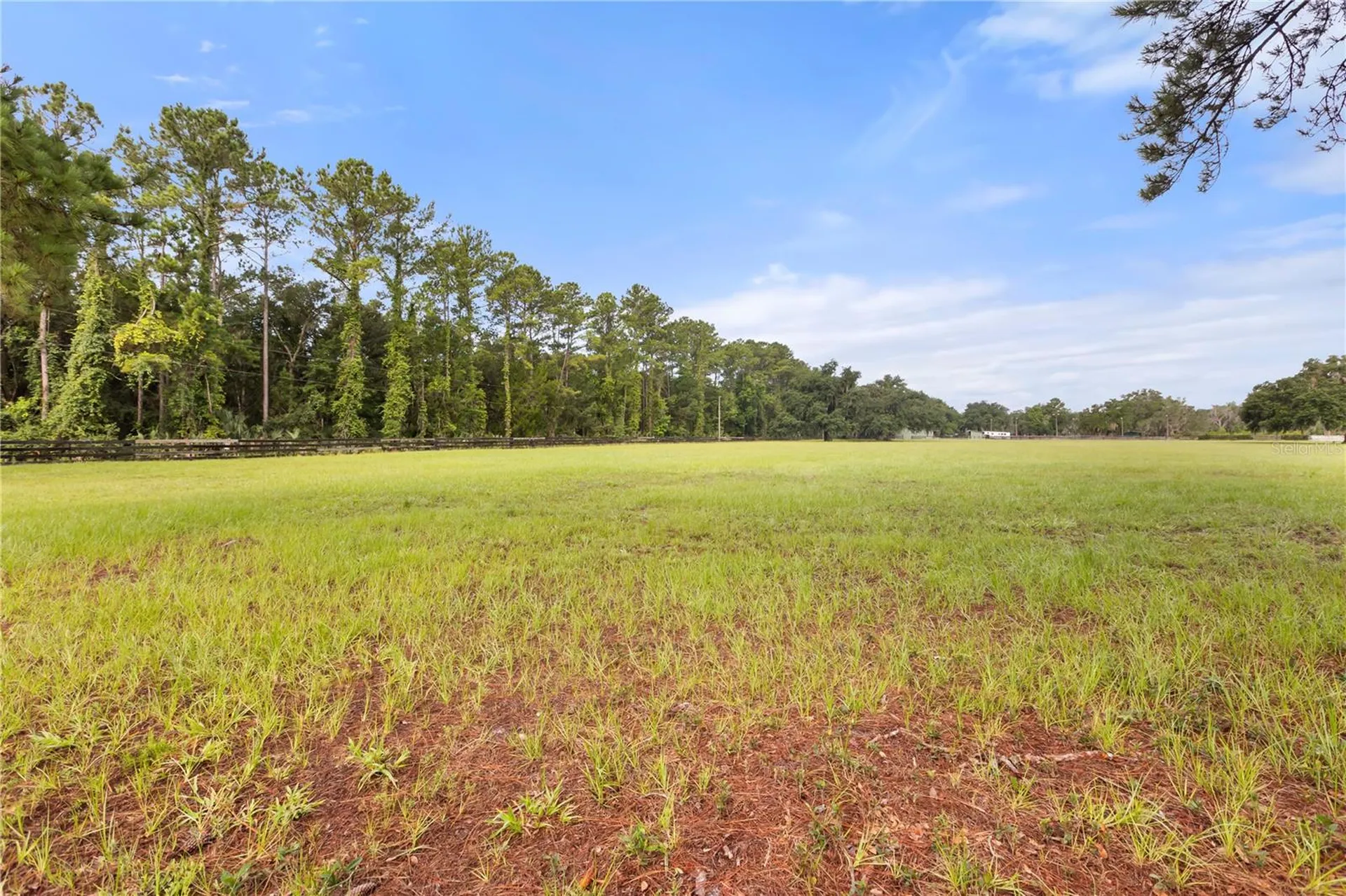 32839 Webbs Way Sorrento FL 32776