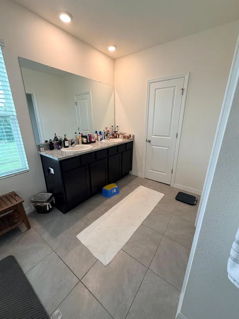 35665 Sunflower Hill Drive Zephyrhills FL 33541