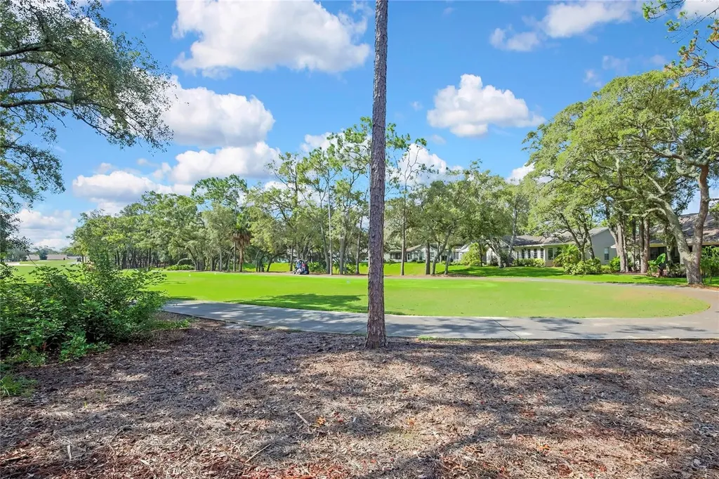 6577 Pine Meadows Drive Spring Hill FL 34606