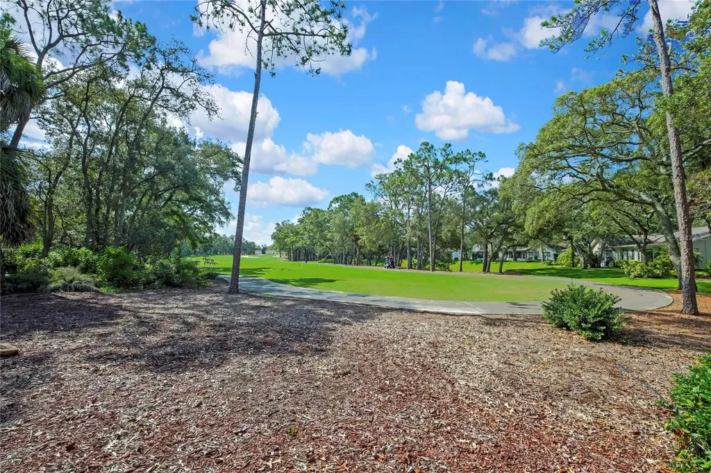 6577 Pine Meadows Drive Spring Hill FL 34606