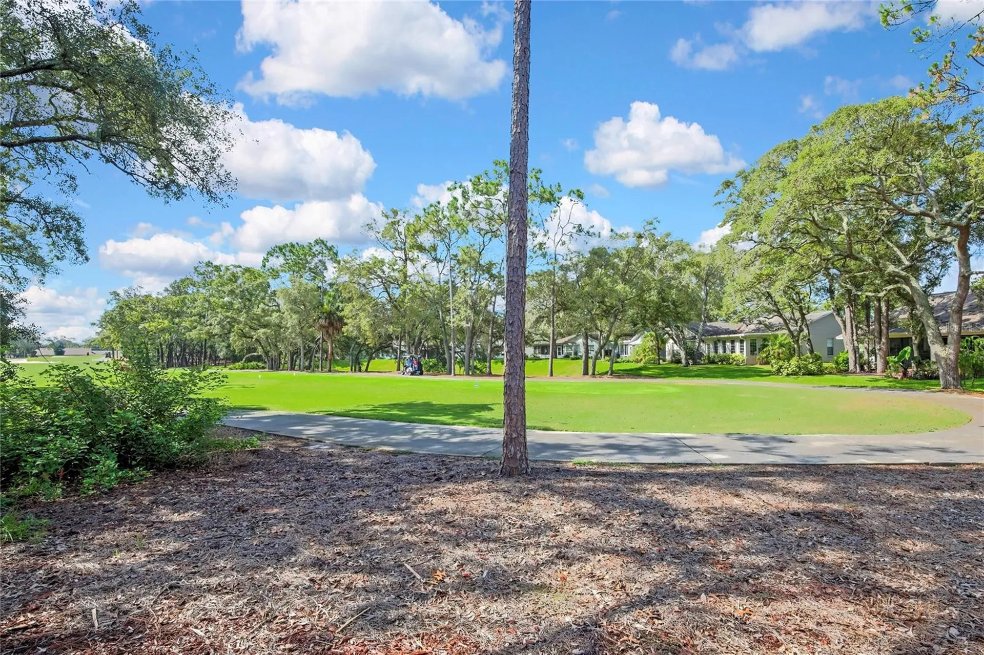 6577 Pine Meadows Drive Spring Hill FL 34606