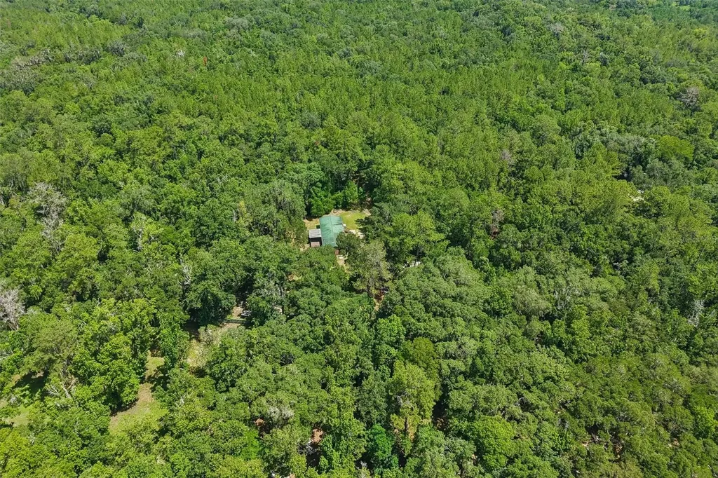 6221 Emerson Drive New Port Richey FL 34653