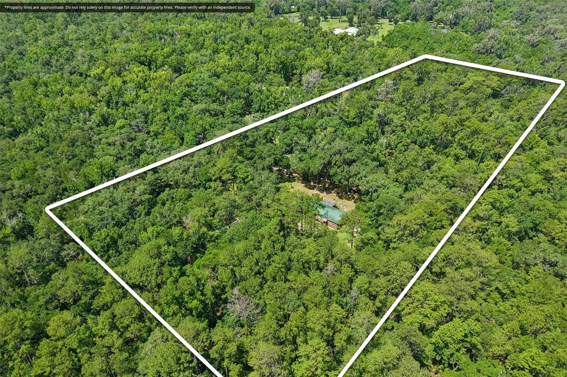 6221 Emerson Drive New Port Richey FL 34653