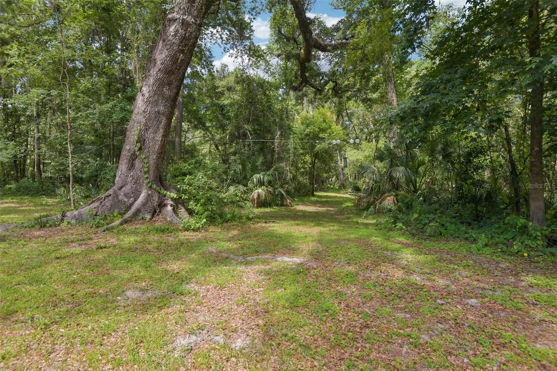 6221 Emerson Drive New Port Richey FL 34653