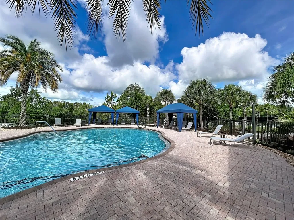 8335 Alberata Vista Drive Tampa FL 33647
