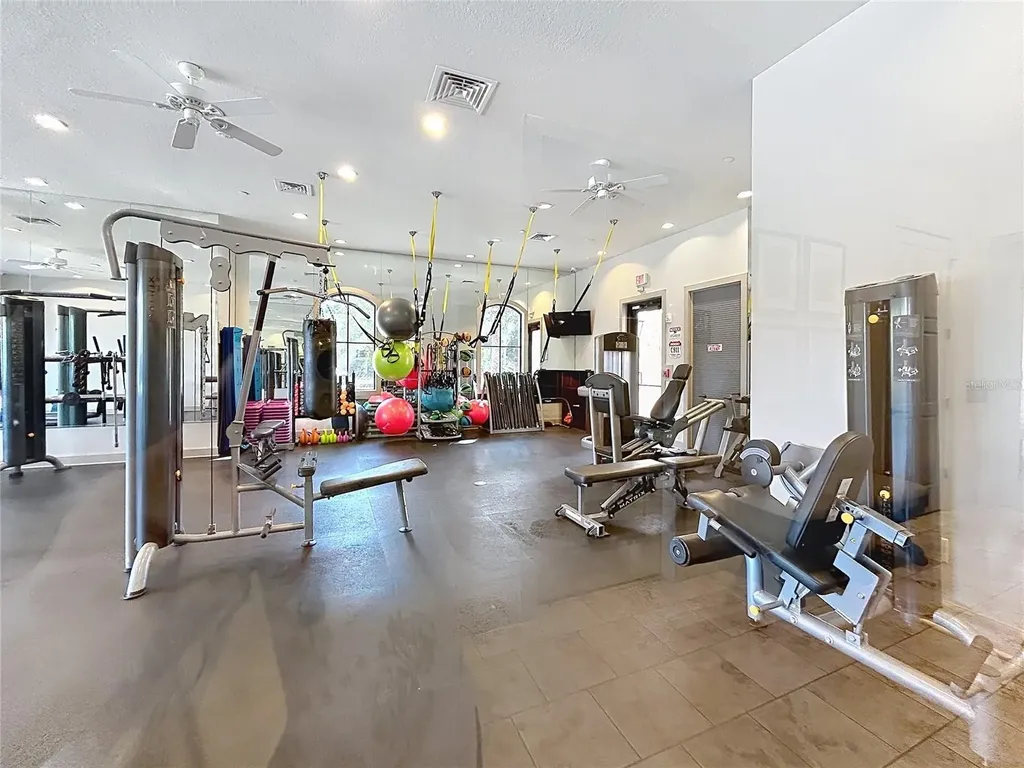 8335 Alberata Vista Drive Tampa FL 33647