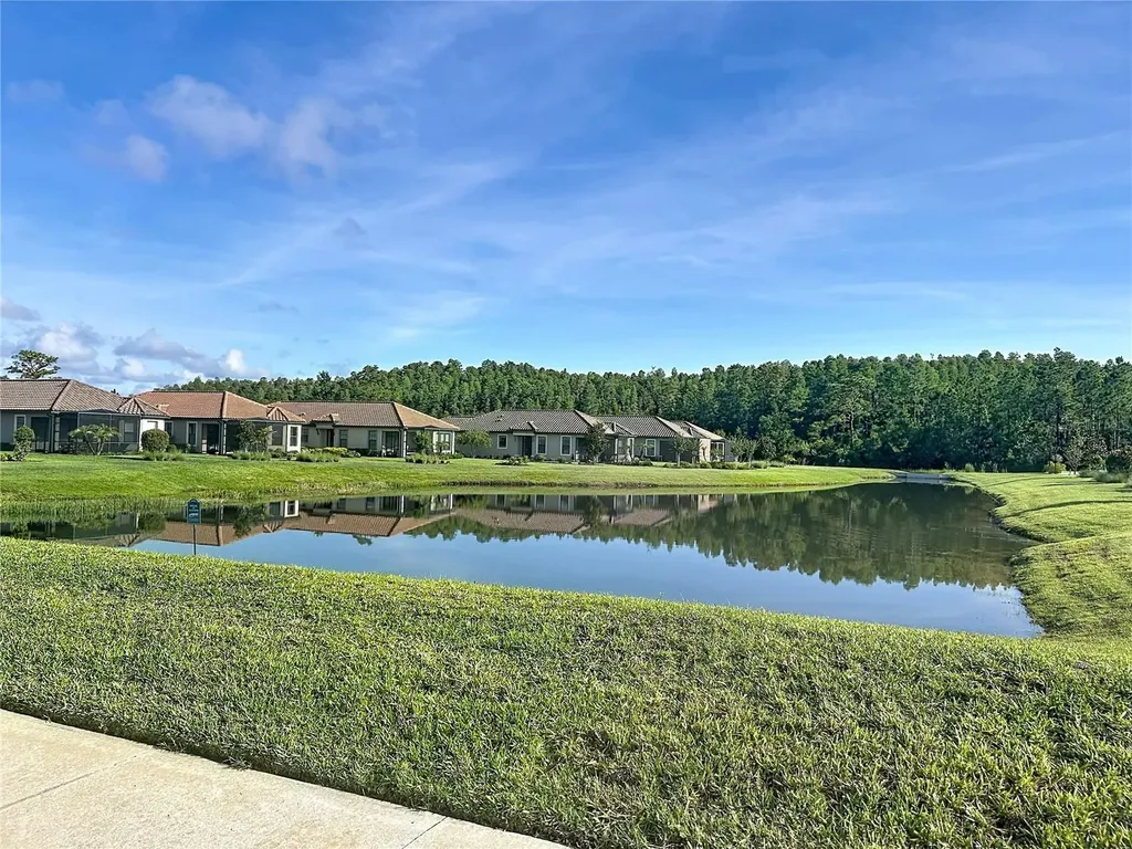 8335 Alberata Vista Drive Tampa FL 33647