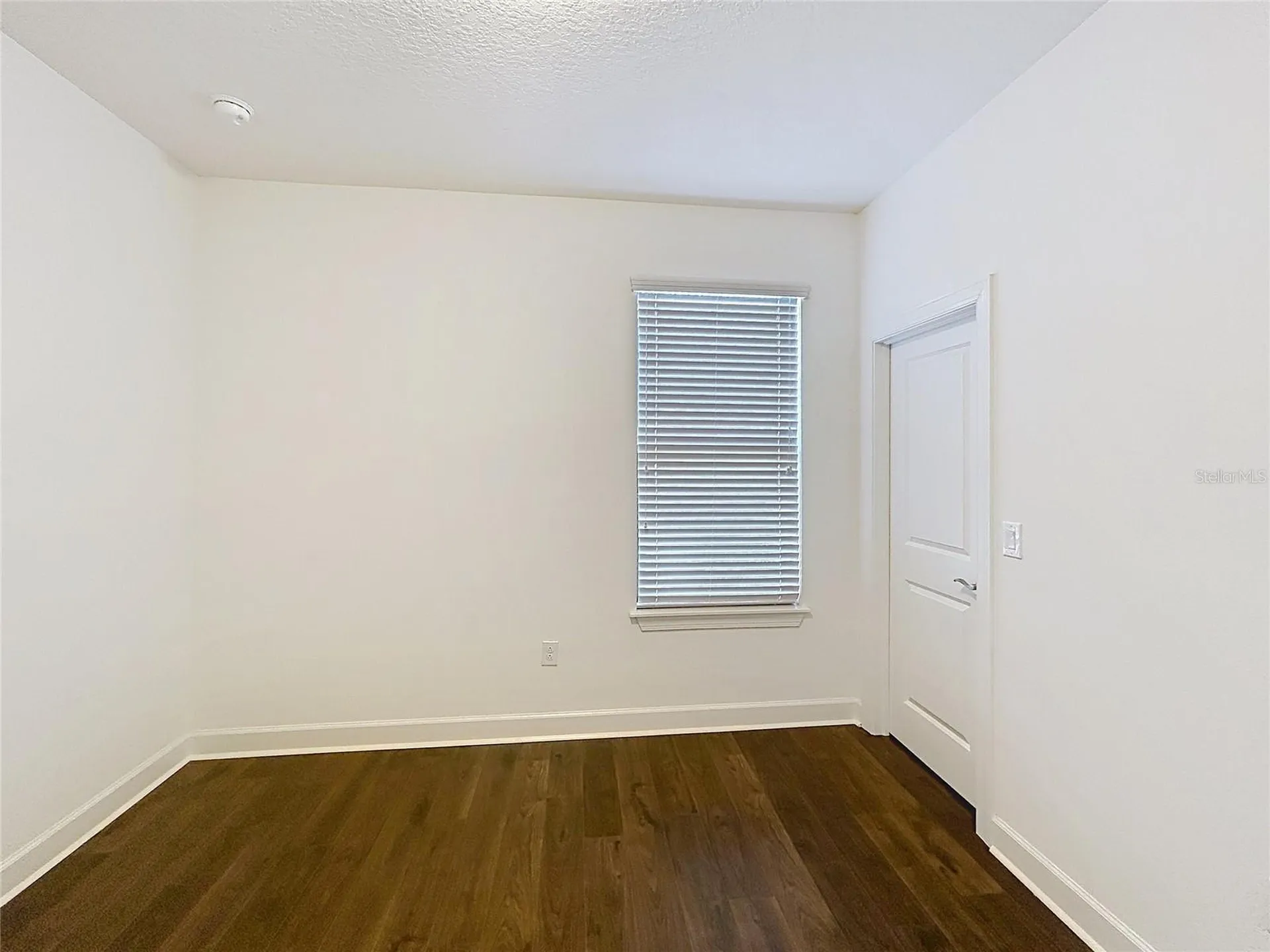 8335 Alberata Vista Drive Tampa FL 33647