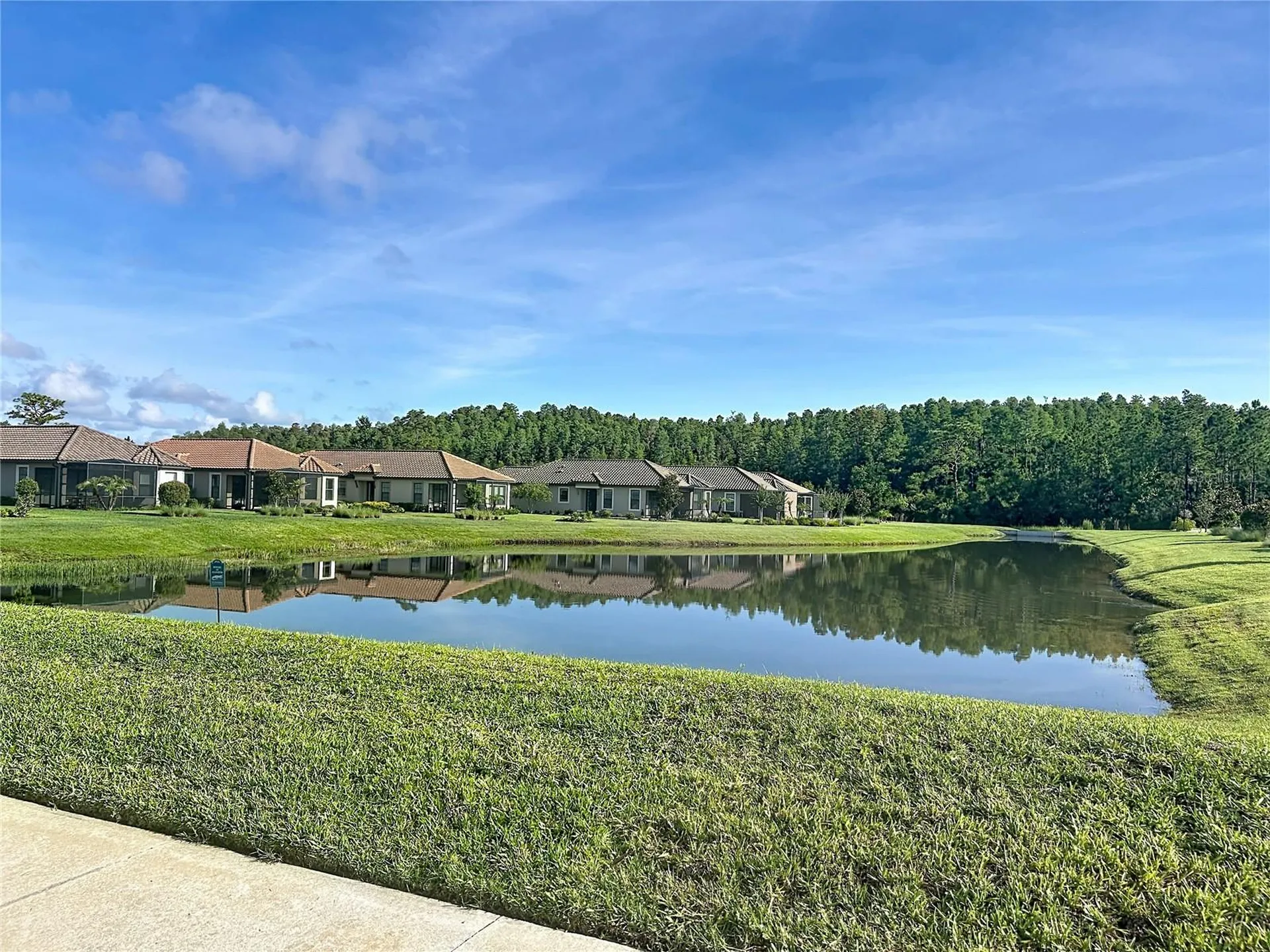8335 Alberata Vista Drive Tampa FL 33647