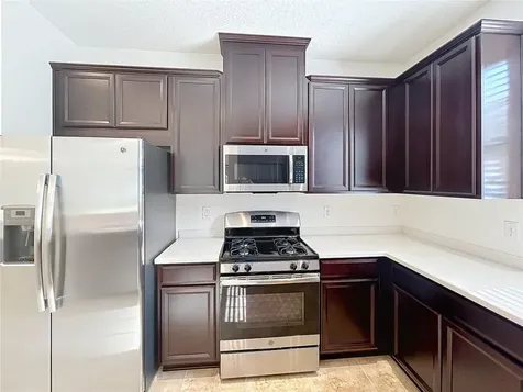 8335 Alberata Vista Drive Tampa FL 33647