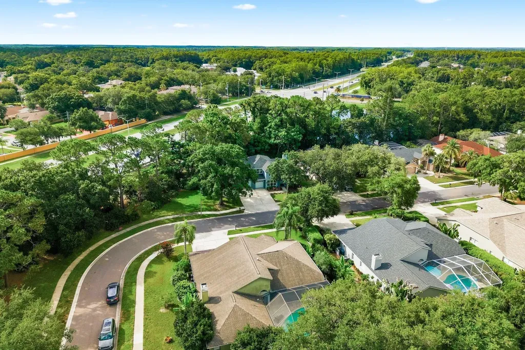 4788 Brayton Terrace S Palm Harbor FL 34685