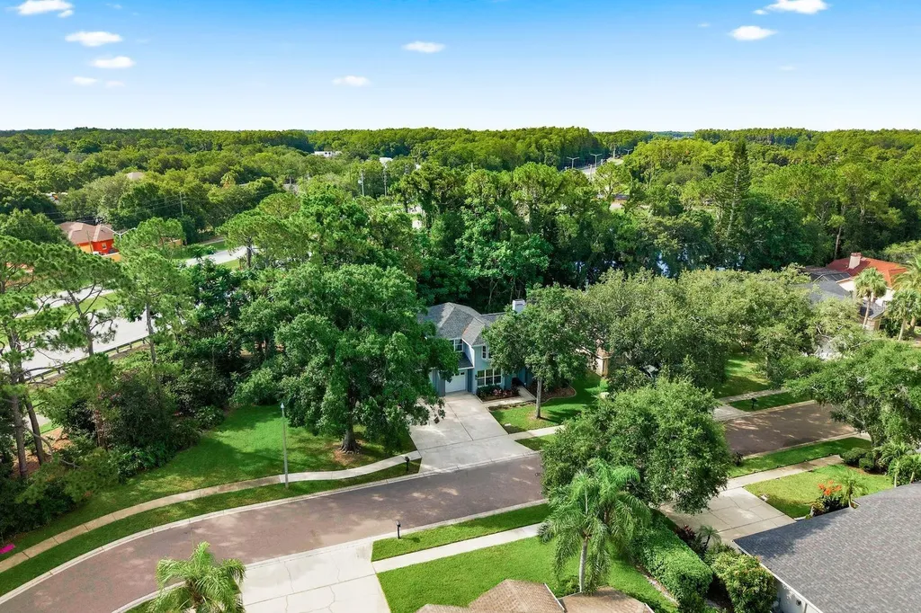 4788 Brayton Terrace S Palm Harbor FL 34685