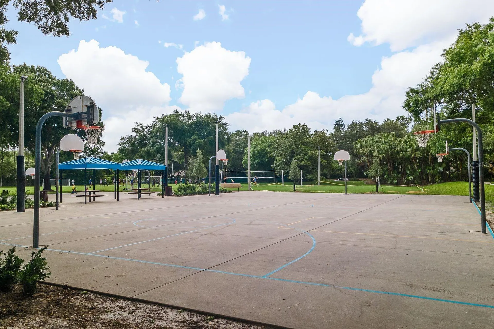 4788 Brayton Terrace S Palm Harbor FL 34685