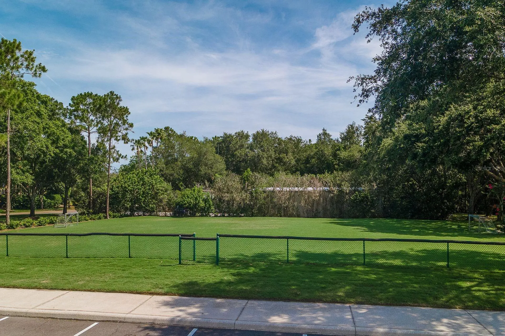 4788 Brayton Terrace S Palm Harbor FL 34685