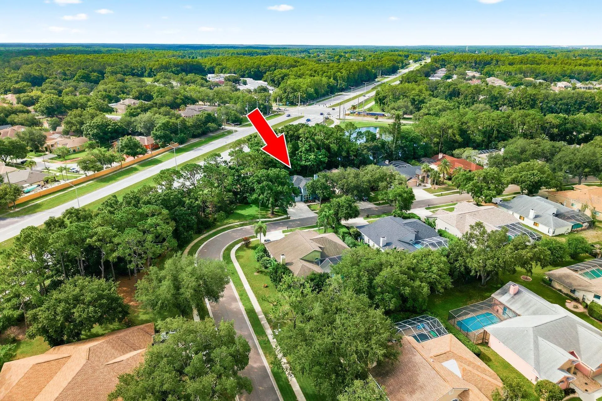 4788 Brayton Terrace S Palm Harbor FL 34685