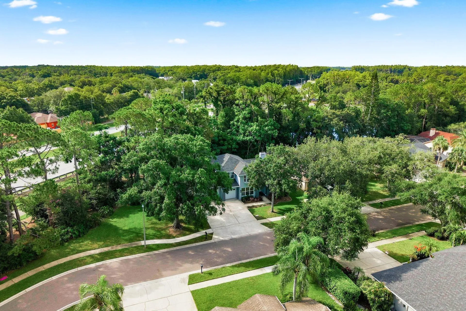4788 Brayton Terrace S Palm Harbor FL 34685