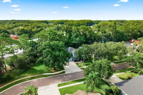 4788 Brayton Terrace S Palm Harbor FL 34685