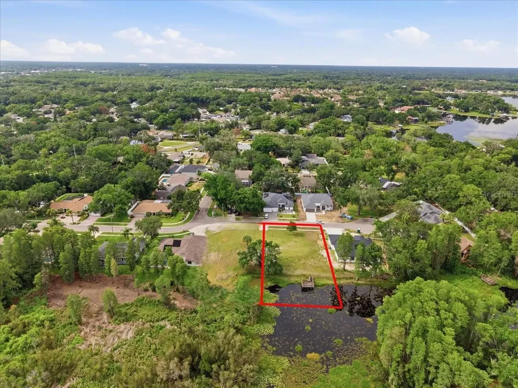 Woods End Court Tampa FL 33618